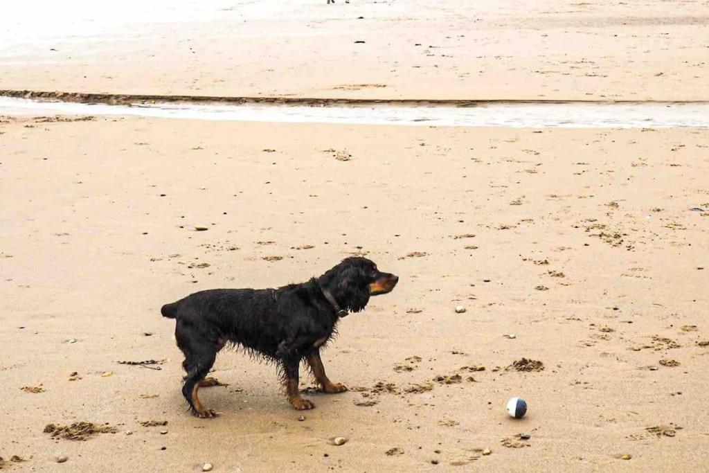 Large Cottage, Beach, Pubs Shops, Netflix, Bbq, Dog Friendly 헌맨비 외부 사진